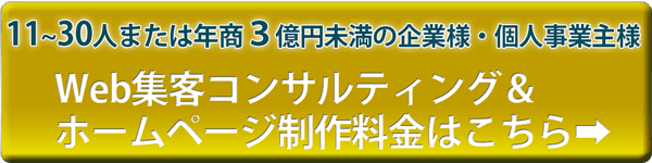 11人から30人までの企業様向けプラン